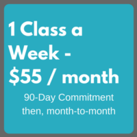 1 Class a week pricing